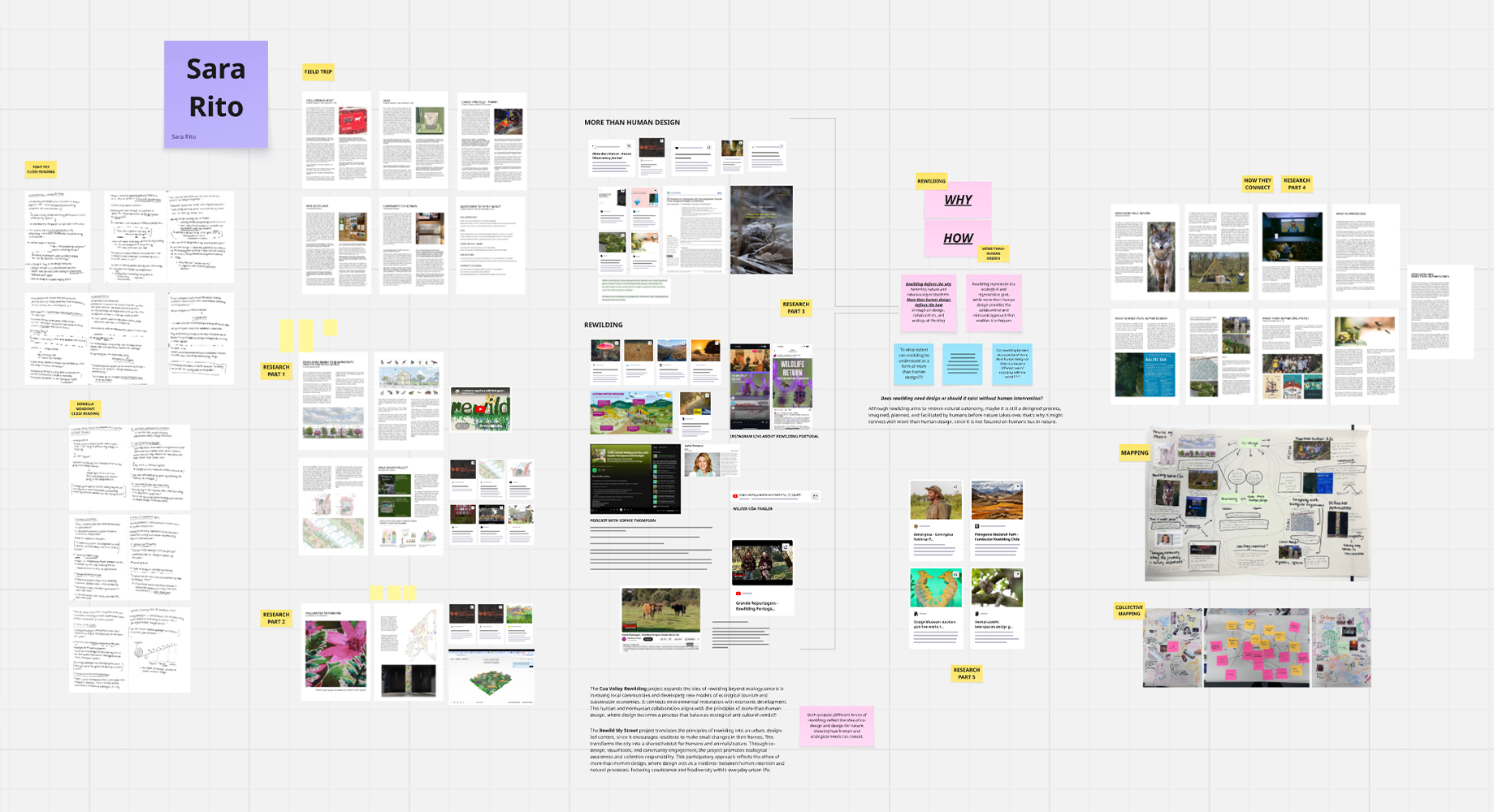 Beyond Sustainability publication spread